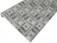 Упаковочная бумага Крафт 50гр (0,72 х 10 м) Доллары, 1 шт.