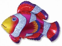 Шар (35''/89 см) Фигура, Рыба-клоун, Фуше, 1 шт.