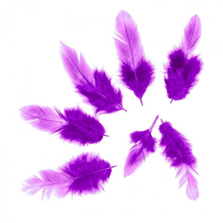Перья Фиолетовые, 50 шт.